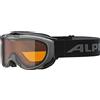ALPINA FREESPIRIT DH ANTHRAZIT