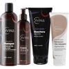 DIVINA BLK Kit Idratante e Rigenerante per capelli mossi, ricci, super ricci e afro Natural&Amazing di DIVINA BLK, 4 prodotti inclusi, trattamento completo