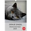 CALVENDO Angelo grigio - Gatti a pelo corto britannico (calendario da parete 2024 DIN A3 alto), calendario mensile Calvendo: foto da sogno di gatti corti britannici (CALVENDO Tiere)