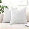 Artscope 2 Pezzi Federe Cuscini in Lino Minimalista Federe in Velluto Copricuscino per la Decorazione Domestica Soggiorno Camera da Letto Divano 55x55cm, Grigio Argento