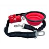 RIGIARILOO - Kit Viaggio per Cani e Gatti: Cintura Sicurezza Auto Nera, Ciotola Pieghevole, Porta Sacchetti Guinzaglio - Set 3 Accessori Essenziali