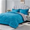 beeweed Piumone Letto Matrimoniale 450 gr/mq Invernale 220x240 cm - Reversibile Piumino Caldissimo 240x220, Trapunta in Microfibra Sintetica, 2 Federe(50x80cm)