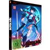 Kaze Anime (AV Visionen) Black Fox - Deluxe Edition (Limited Edition)