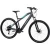 F.lli Schiano E-Mercury, Bici Elettrica Mountain Bike 29 Inches per Adulti, 36V 11.6Ah Batteria Rimovibile, Motore 250W 50Nm, MTB Ebike, Grigio-Verde