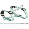 Trixie - Pettorina per Cuccioli con guinzaglio. Dimensioni: 23-34 cm/8 mm. Colore Verde. - TR-15345, Piccolo/Medio, Menta