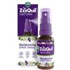 PROCTER & GAMBLE SRL VICKS ZZZQUIL NATURA SPRAY 30 ML