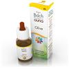 GUNA SpA Fiori Fi Bach Olive Guna 10ml