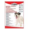 CAMON SpA TAPPETINO ASS CANI 60X90 25PZ