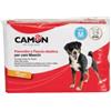 Camon Pannolini a fascia per cani maschi Misura 1 12 Pannolini