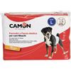 Camon Pannolini a fascia per cani maschi Misura 3