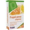 TOWA PHARMACEUTICAL SPA PROPOLI 15 Cpr PENSA