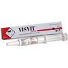 Visvit Pasta Orale Con Siringa 15 g