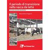 Le Point Vétérinaire Italie Il periodo di transizione nella vacca da latte