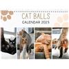 Generic Calendario con palline di gatti, divertente calendario da appendere alla parete, calendario con buchi di buco di gatto; design particolare per amanti dei gatti, calendario da parete per Natale,