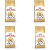 Royal Canin Norwegian Forest Cat Adult | Confezione da 4 | 4 x 400 g | Alimento completo per gatti adulti della foresta norvegese | A partire da 12 mesi | Pelle sana e bel pelo
