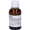 HERING Allium Sativum Tintura Madre 30 ml Soluzione orale