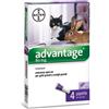 ELANCO ITALIA SpA Advantage Gatti Peso Superiore A 4 Kg