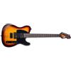 ESP LTD Chitarra Elettrica Tobacco Sunburst TE 200
