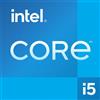 Intel S1700 CORE i5 13400 TRAY - senza scatola e dissipatore - GEN13