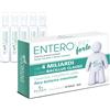 PALADIN PHARMA SPA Enterolife Forte 4 Miliardi Integratore Probiotico 10 Fiale