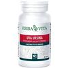 ERBA VITA GROUP SpA uva ursina 60 capsule
