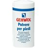 DUAL SANITALY SpA SOC.BENEFIT gehwol polvere per piedi 100 g
