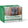 N.B.F. LANES Srl RIBES HORSE RESPIRO 30BUST