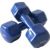 Blue Gym Manubrio per Aerobica 5 KG
