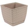 Prosperplast Square Ratolla Square 3.8L., Dimensions (mm) 190x190x159, colore Mocca