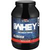 GYMLINE ENERVIT 100% Whey Protein Concentrate Cacao 900 Integratore Proteine