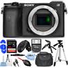 Sony Alpha a6600 Mirrorless Fotocamera Digitale (solo Corpo) - 12PC Set