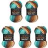 Wollbiene 5 gomitoli di lana Batik Fine da 100 g, 500 g, con gradiente, multicolore (1520 marrone, menta) bianco)