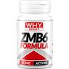 WHY SPORT ZMB6 FORMULA 90 COMPRESSE