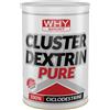 WHY SPORT CLUSTER DEXTRIN PURE 500 GRAMMI
