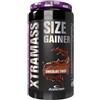 ANDERSON RESEARCH XTRAMASS 1,1 KG Vaniglia