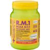 +WATT RM1 BCAA 8:1:1 500 GRAMMI ARANCIA