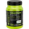 +WATT CREATINA+ EXTRA GOLD 350 GRAMMI