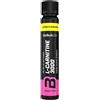 BIOTECH USA L-CARNITINE 3000 FIALA DA 25 ML GUSTO LIMONE