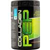 NET INTEGRATORI COLLAGEN PEP Arancia Limone