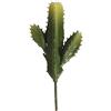 Rayher Cactus A Colonna, 7,3X15Cm, 55779000