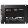 Samsung 870 EVO 250 GB Nero