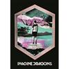 Heart Rock - Bandiera Imagine Dragons Framed, Qualità Italiana, Materiali resistenti e Colori Vivaci - Made in italy [100% Poliestere - 110x75 cm]