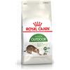 Royal Canin Cat Active Life Outdoor Alimento completo secco per gatti adulti 10KG