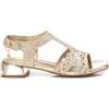 XTI 143813, Sandali Donna, Gold, 36 EU
