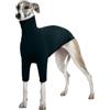 PUMYPOREITY Salukis - Maglione leggero per levrieri, morbido, dolcevita, con gambe, caldo (verde scuro, 2XL)
