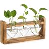 Glasseam Terrario Piante Di Vetro Per Casa: Set Di 3 Vasi Decorativi Interno Moderni A Forma Di Cuore Per Del Soggiorno Serra Desktop Decorazioni - Piccoli Vaso Idrocoltura Per Pianta Fiori Taglio