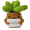 NQEUEPN Piante in Vaso All'Uncinetto, Creative Lavorate a Maglia Succulente Mini Carine Emozionali Positive Ornamenti per Bambole Regali per Adulti Bambini Casa Ufficio Scrivania Decorazione