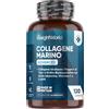 WeightWorld Collagene Marino con Acido Ialuronico, in Peptidi Titagen di Collagene Idrolizzato, Tipo 1 e 3, Advanced, con Vitamina C, Coenzima Q10 e Zinco, Senza Magnesio Stearato né Glutine, 1200mg, 120 Capsule
