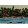 Best Season sa139, LED cluster con riflettori, cuori 72 LED rosso, C, plastica, rosso, 180.0 x 3.0 x 3.0 cm