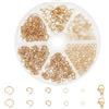 PH PandaHall 700pz Anelli di Salto Aperti Acciaio Inox Placcati in Oro 18K 3/4/5/6/8mm Anellini per Bigiotteria con 20pz Chiusura ad Artiglio di Aragosta per Collane Braccialetti Gioielli Fai Da Te